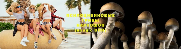 эйфоретик Армянск
