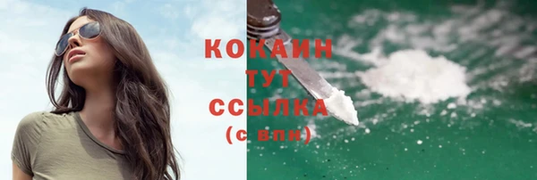 твердый Кодинск
