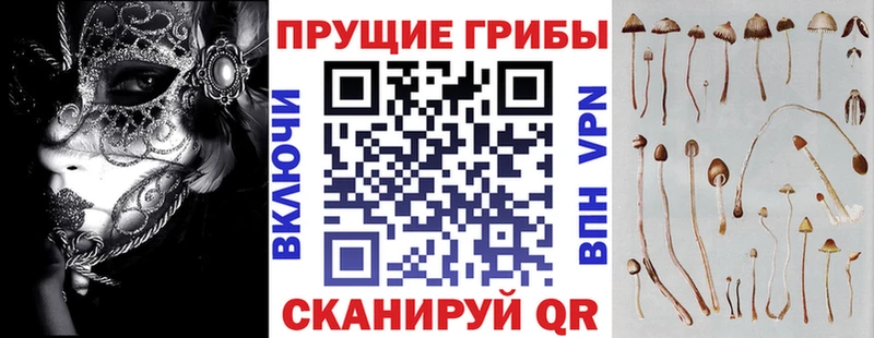 Псилоцибиновые грибы прущие грибы  Иваново 
