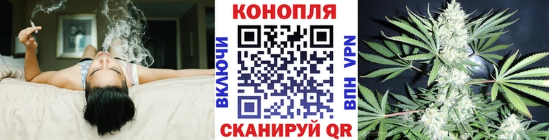 ОМГ ОМГ как зайти  Иваново  Конопля план 